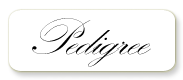 Pedigree button